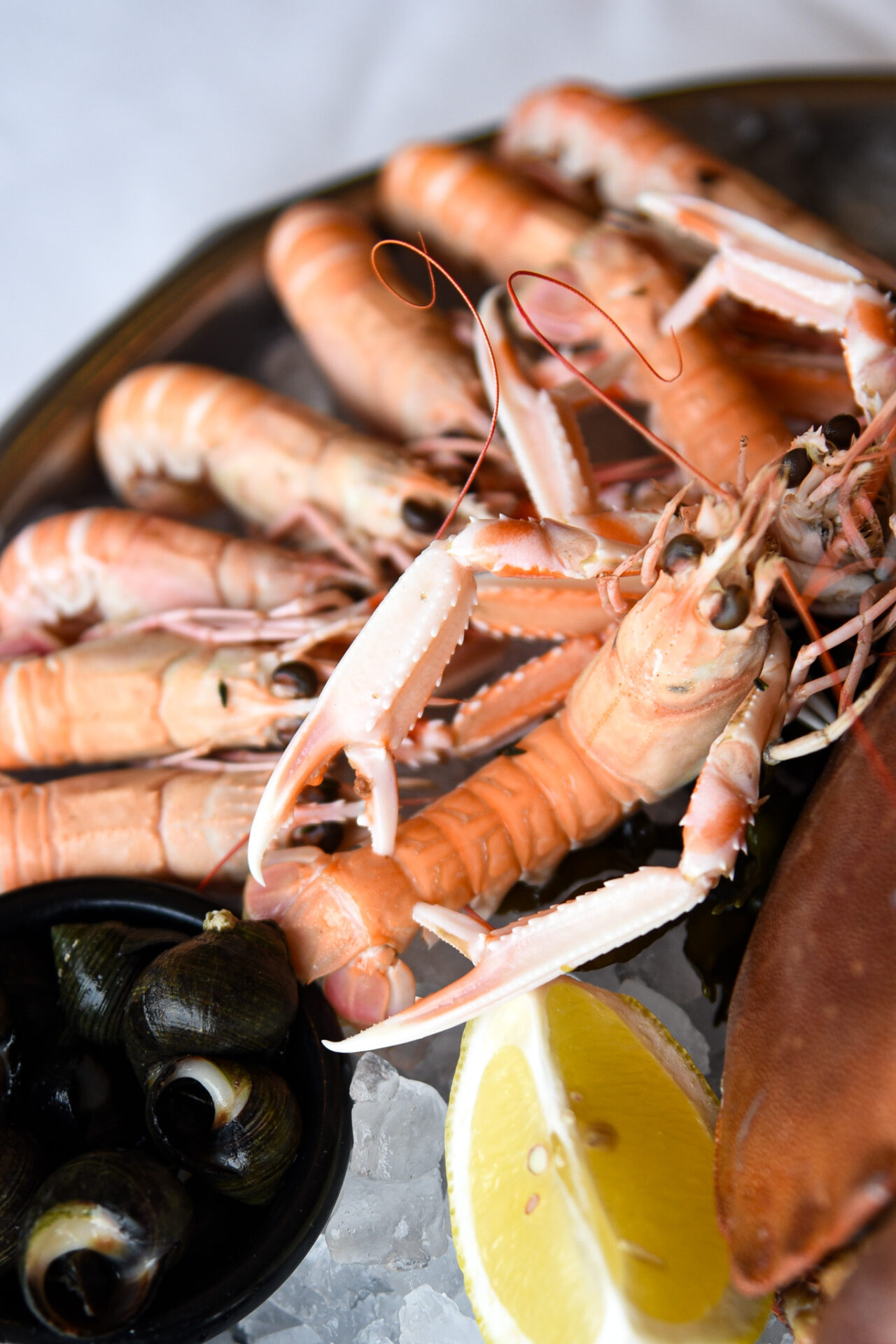 plateau fruits de mer